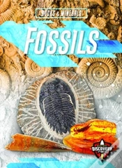 Capa do artigo Fossils