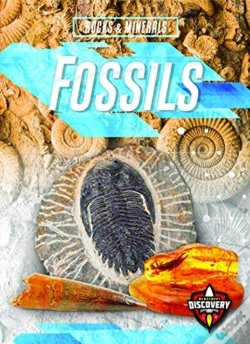 Capa do artigo Fossils