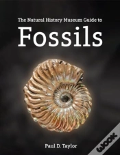 Capa do artigo Fossils