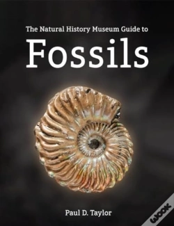 Capa do artigo Fossils