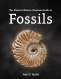Fossils - Preview
