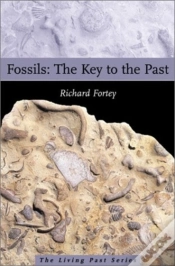 Capa do artigo Fossils