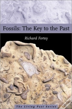 Capa do artigo Fossils