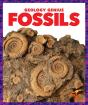 Fossils - Preview
