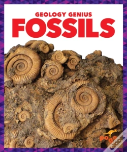 Capa do artigo Fossils