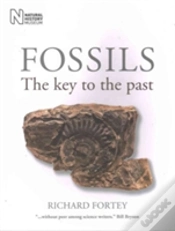 Capa do artigo Fossils