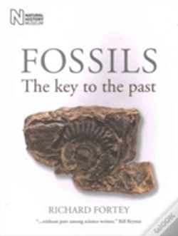 Capa do artigo Fossils