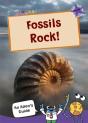 Fossils Rock! - Preview