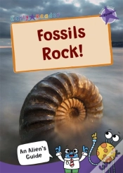 Capa do artigo Fossils Rock!