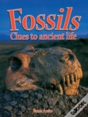 Capa do artigo Fossils