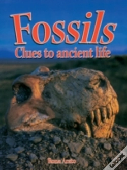 Capa do artigo Fossils
