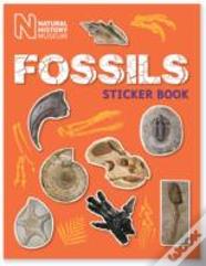Fossils Sticker Book
