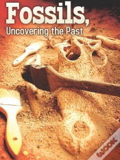 Capa do artigo Fossils