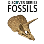 Fossils - Preview