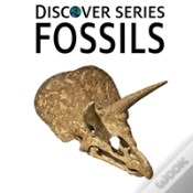 Capa do artigo Fossils