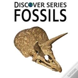 Capa do artigo Fossils