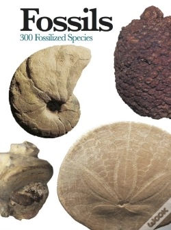Capa do artigo Fossils