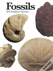 Capa do artigo Fossils
