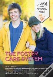 Capa do artigo Foster Care System