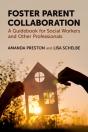 Foster Parent Collaboration - Preview