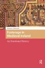 Fosterage In Medieval Ireland - Preview