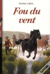 Capa do artigo Fou Du Vent (Édition 2012)