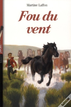 Capa do artigo Fou Du Vent (Édition 2012)
