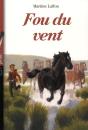Fou Du Vent (Édition 2012) - Preview