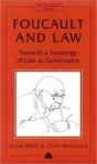 Foucault And Law - Preview