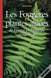 Fougeres Et Plantes Alliees D'Europe Occidentale