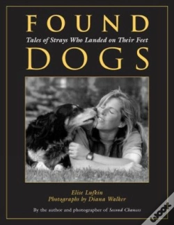 Capa do artigo Found Dogs