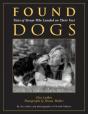 Found Dogs - Preview