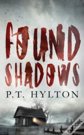 Capa do artigo Found Shadows