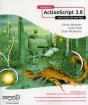 Foundation Actionscript 3.0 With Flash Cs3 And Flex - Preview