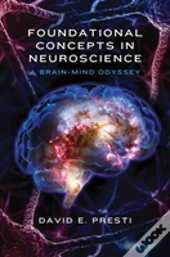Foundational Concepts In Neuroscience
