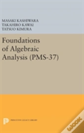 Foundations Of Algebraic Analysis