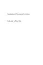 Foundations Of Economic Evolution - Preview