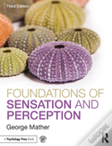 Foundations Of Sensation And Perception