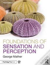 Foundations Of Sensation And Perception