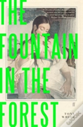 Fountain In The Forest