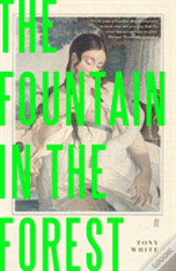 Capa do artigo Fountain In The Forest