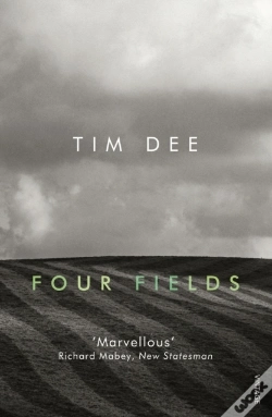 Capa do artigo Four Fields