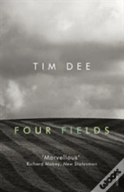 Capa do artigo Four Fields