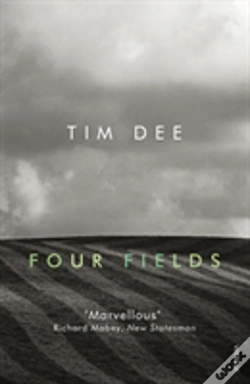 Capa do artigo Four Fields