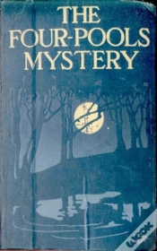 Capa do artigo Four-Pools Mystery