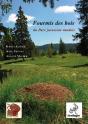 Fourmis Des Bois - Preview