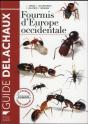 Fourmis D'Europe Occidentale - Preview