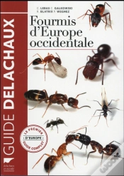 Capa do artigo Fourmis D