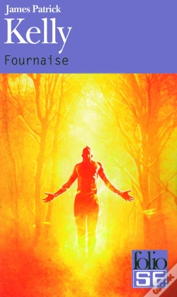 Capa do artigo Fournaise