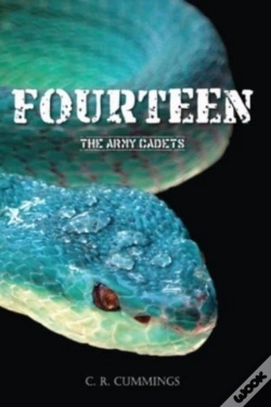 Capa do artigo Fourteen